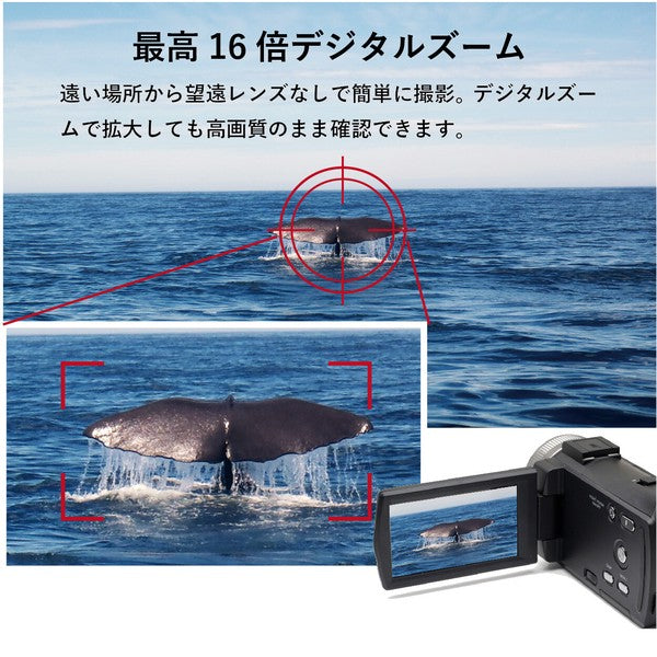 SaiEL ハンディカメラ